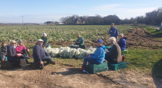 Deal with it - local community group in Deal