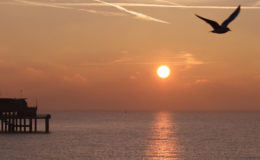 Deal Pier at sunrise copyright Pat Wilson