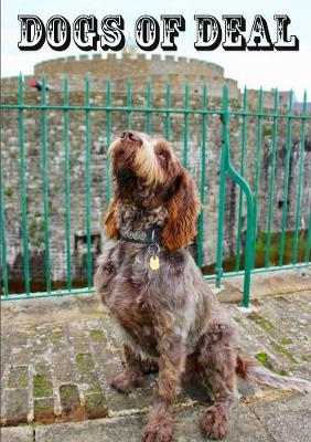 Dogs of Deal - vol 3 - Kathryn Reilly