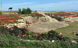Sandown Community garden, Deal, Kenten